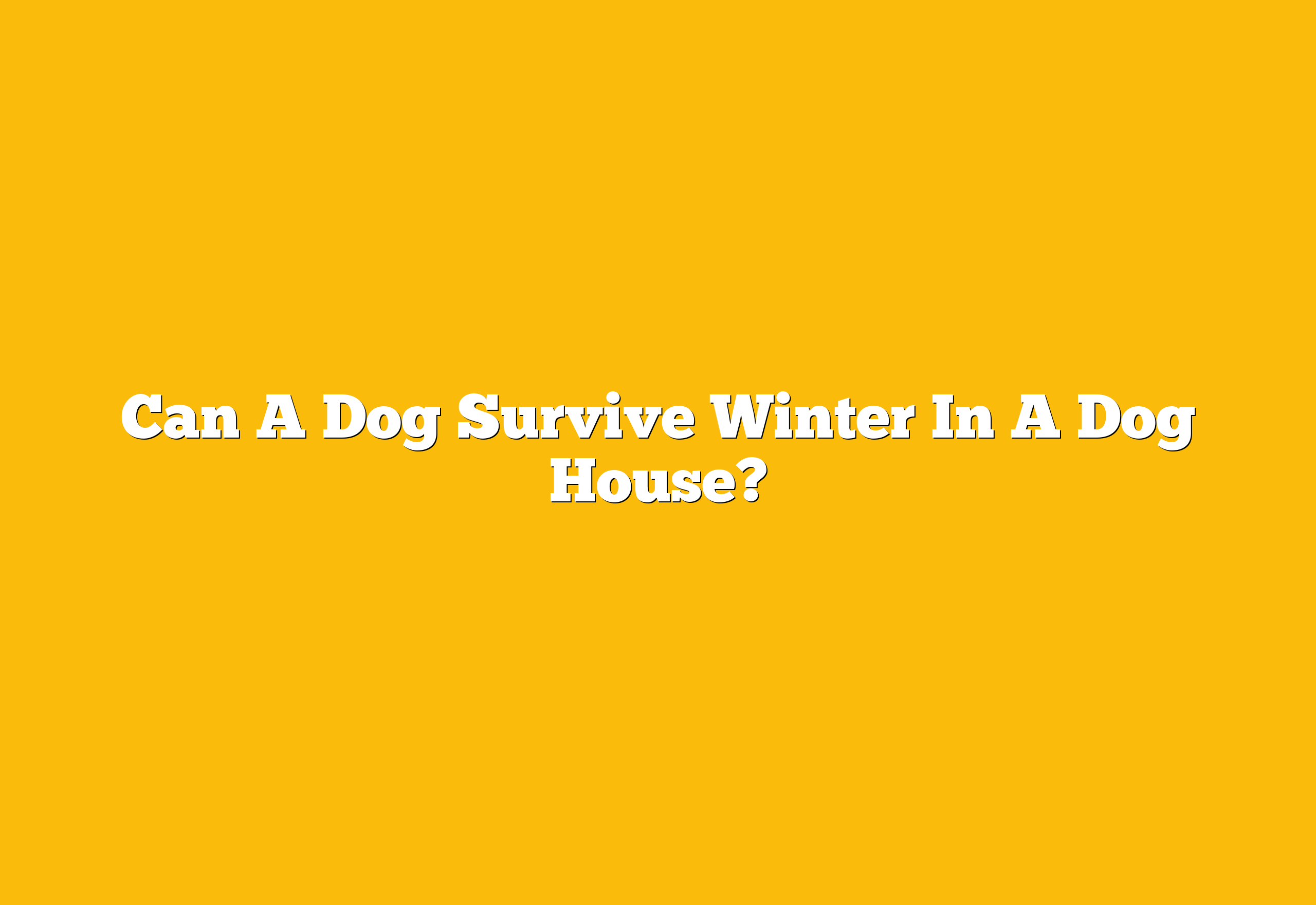 Can A Dog Survive Winter In A Dog House?