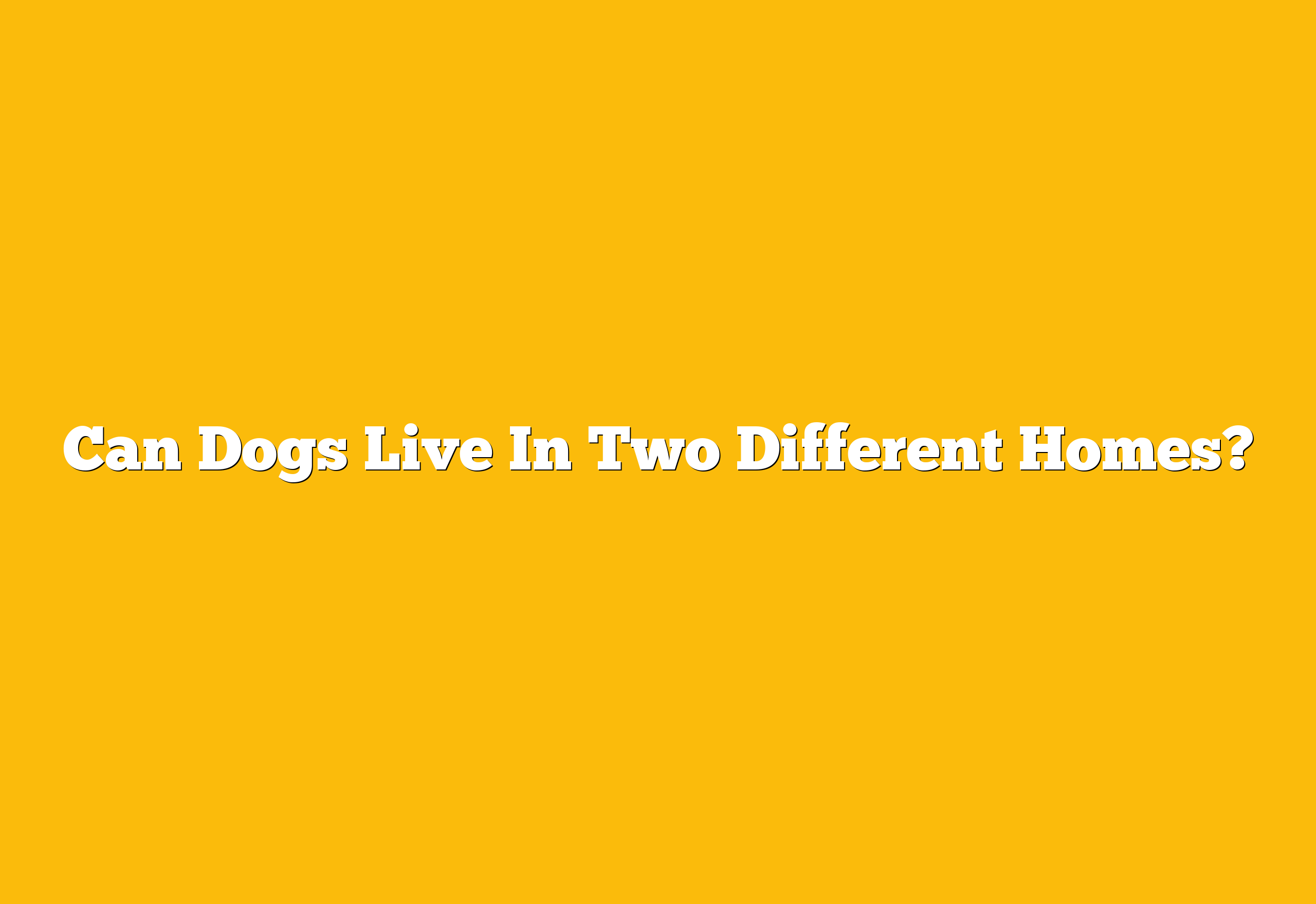 Can Dogs Live In Two Different Homes?