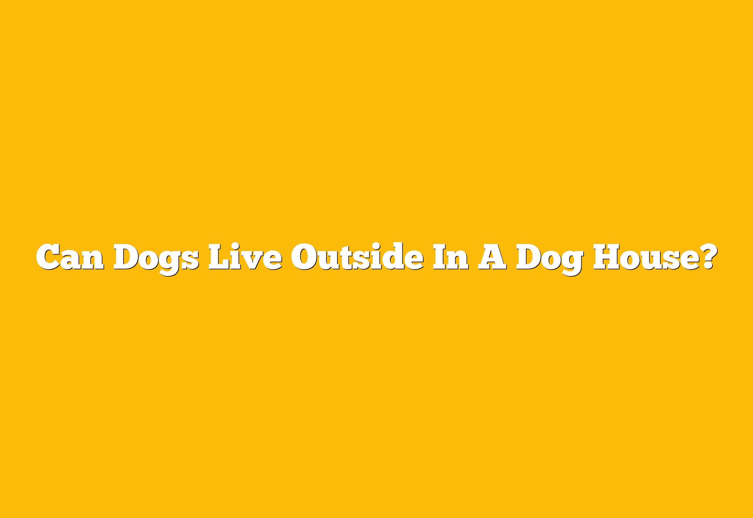 Can Dogs Live Outside In A Dog House?