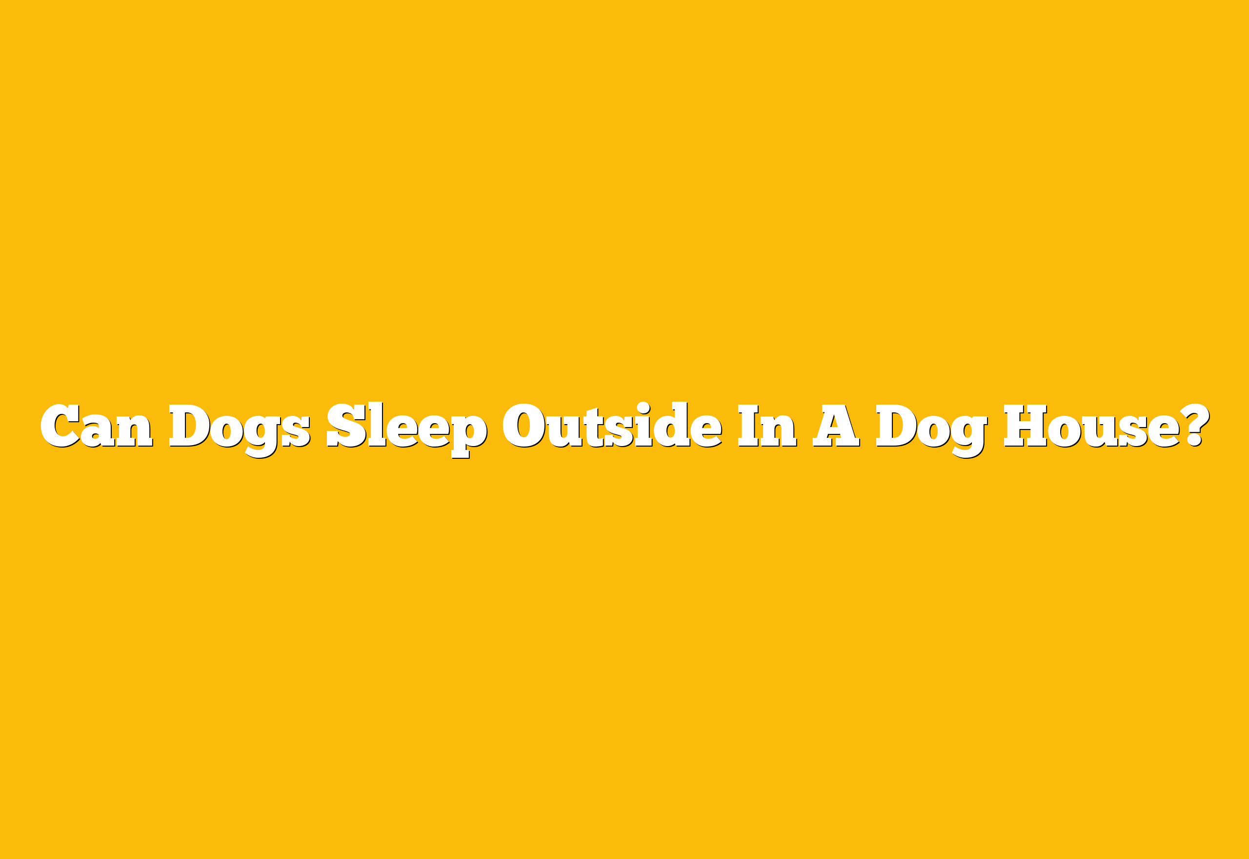 Can Dogs Sleep Outside In A Dog House?