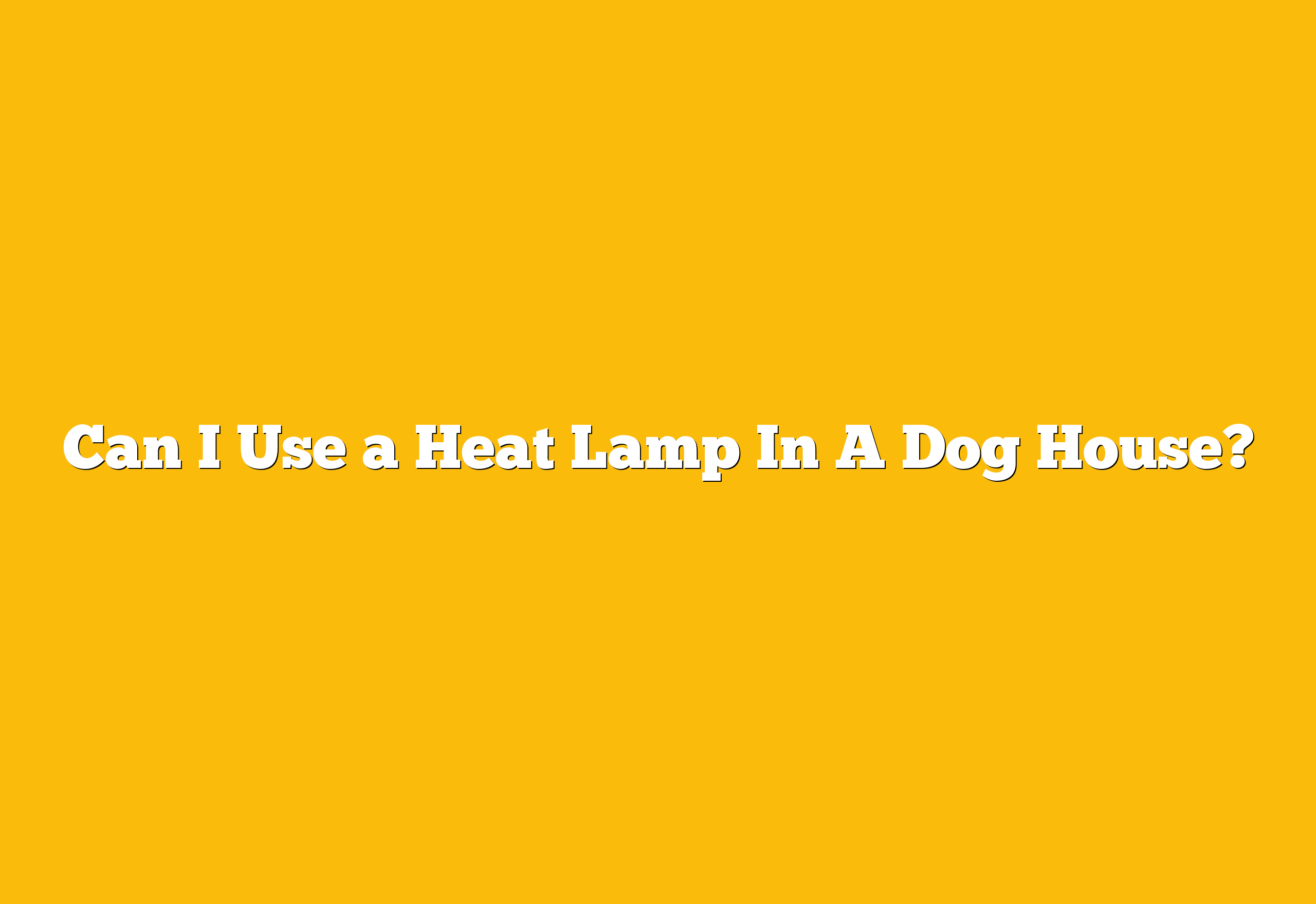 Can I Use a Heat Lamp In A Dog House?
