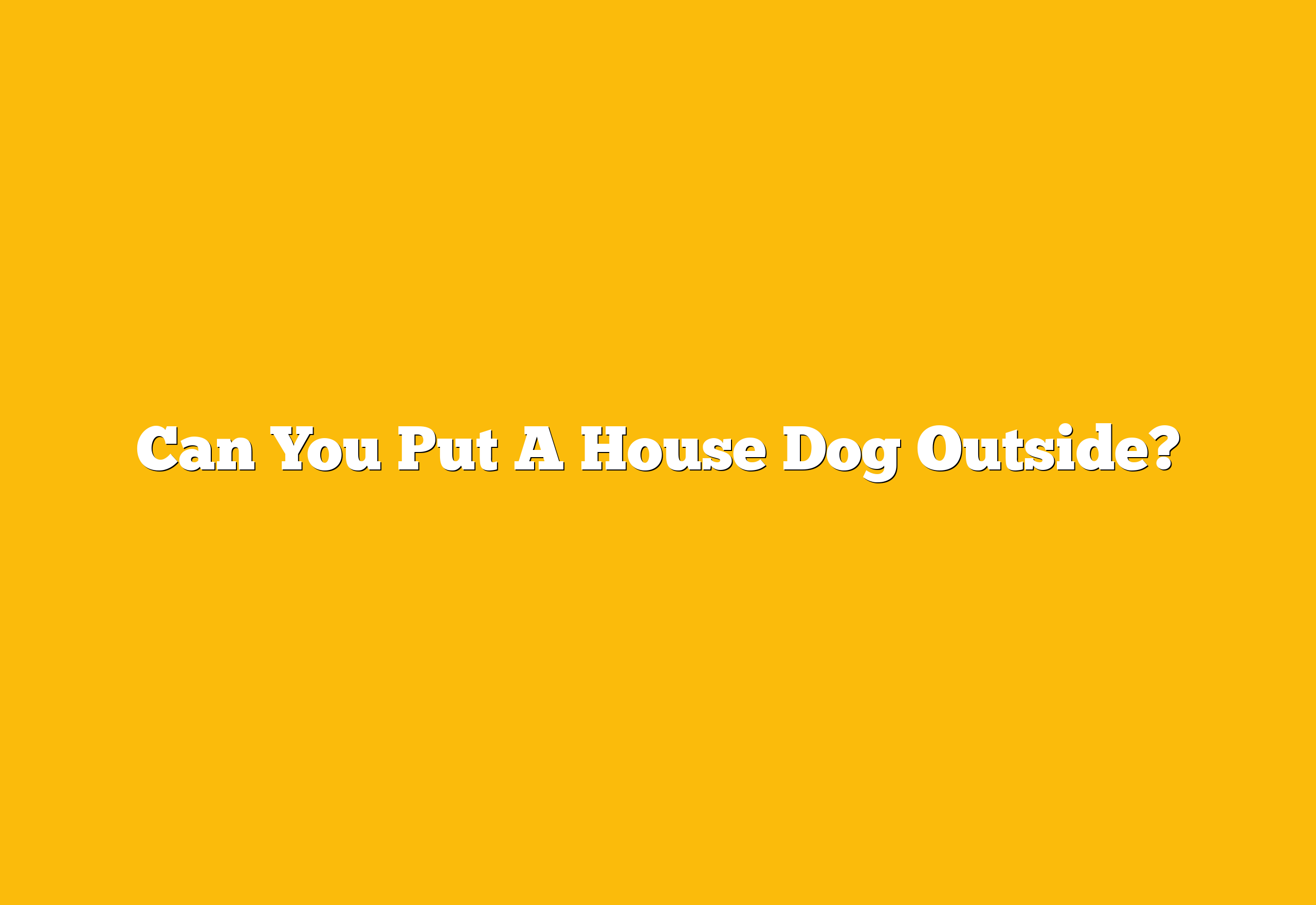Can You Put A House Dog Outside?