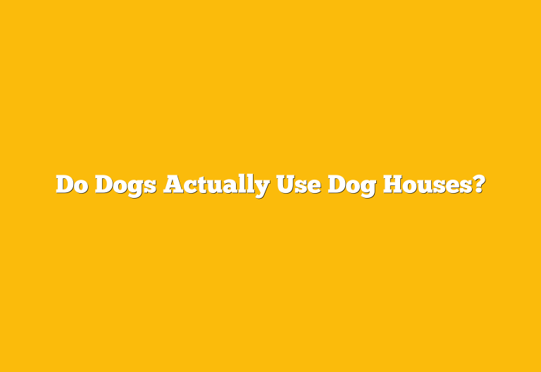 Do Dogs Actually Use Dog Houses?