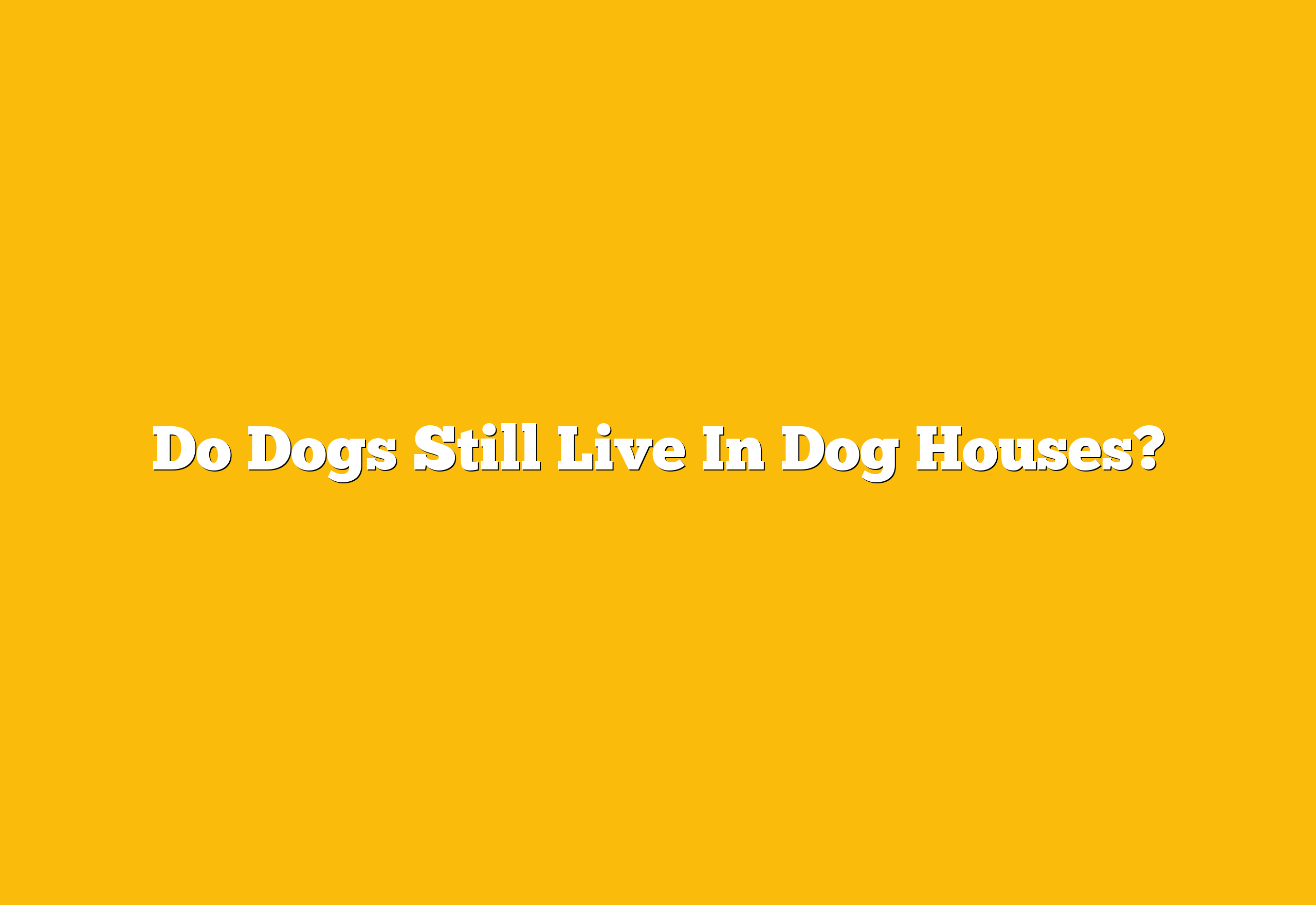 Do Dogs Still Live In Dog Houses?