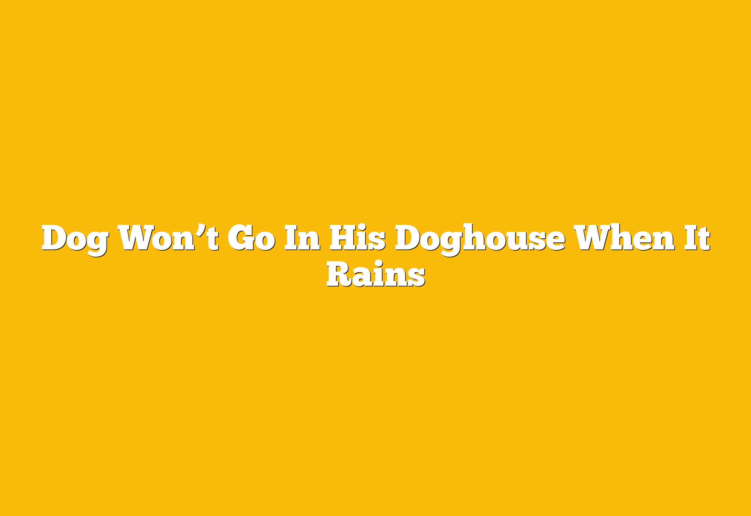 Dog Won’t Go In His Doghouse When It Rains