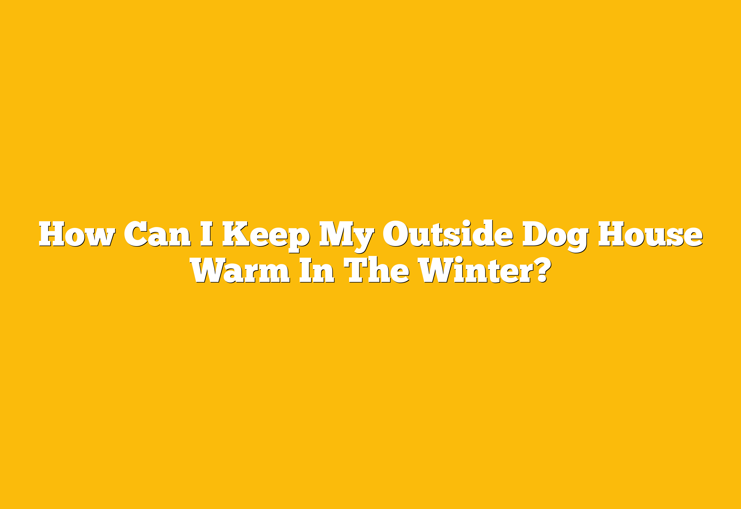 How Can I Keep My Outside Dog House Warm In The Winter?