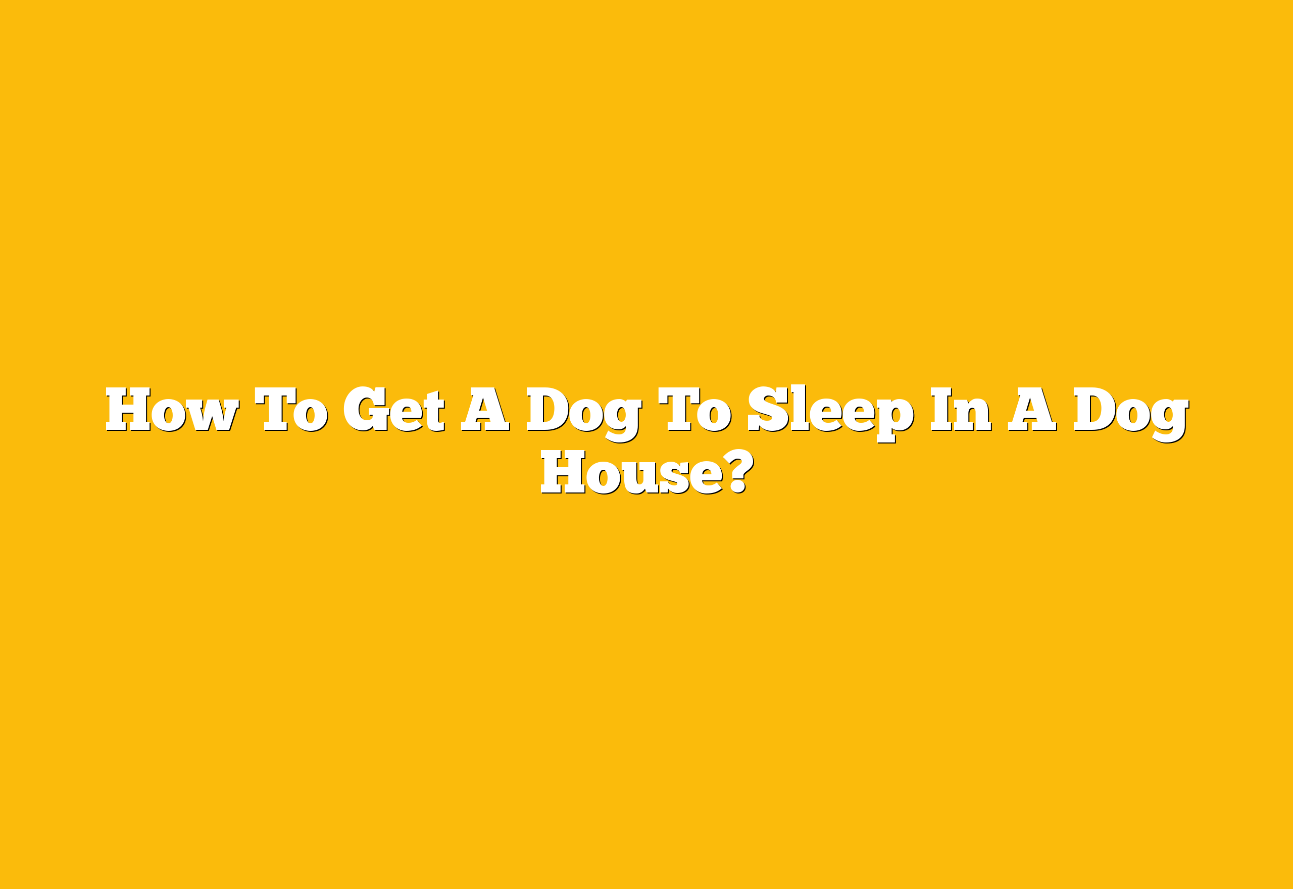 How To Get A Dog To Sleep In A Dog House?