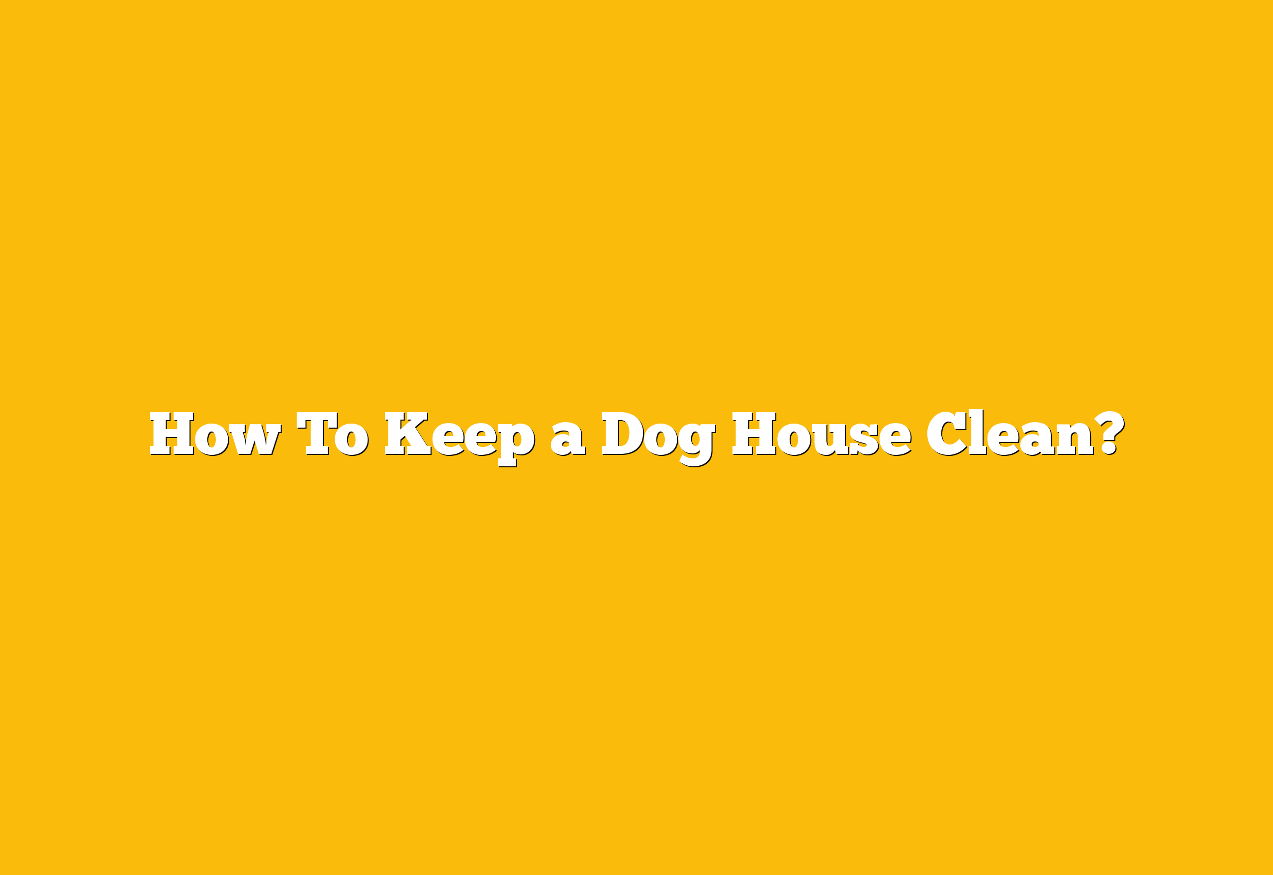 How To Keep a Dog House Clean?
